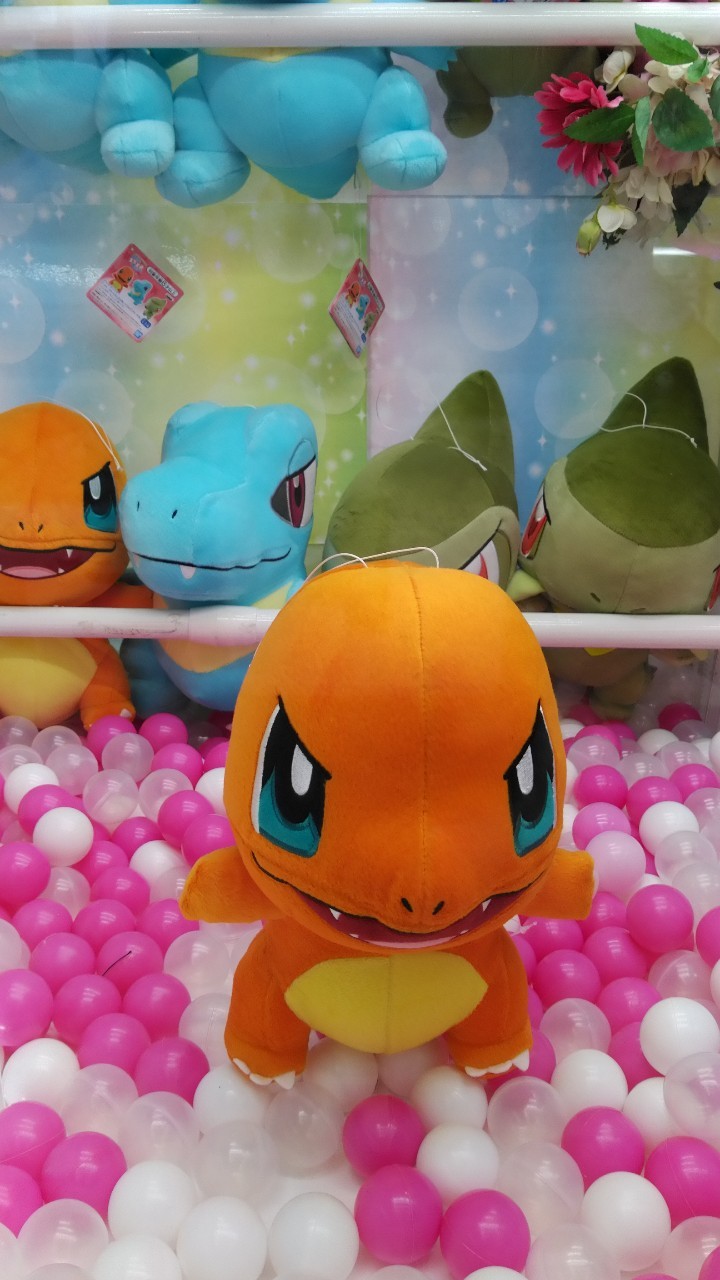 アミューズ 2 17 入荷情報です ポケモンでっかいコロッとまんまるぬいぐるみ こわいかお ヒトカゲ ワニノコ キバコ 等々 万代書店 川越店
