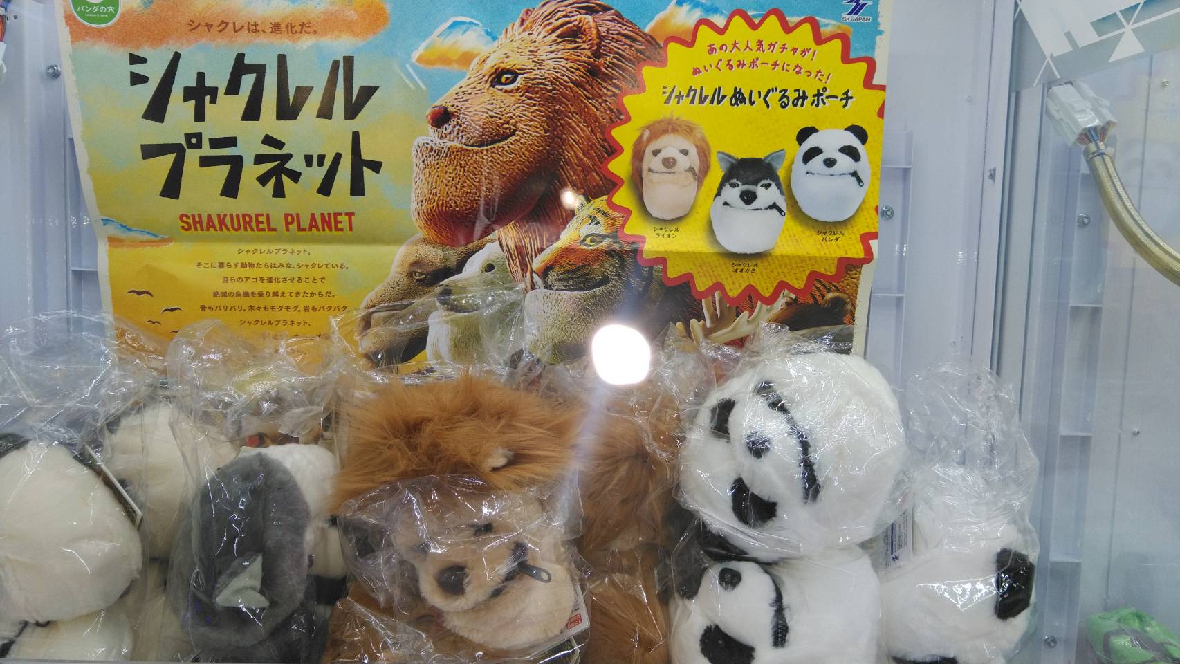 アミューズ 4 11 入荷情報です シャクレルプラネット シャクレルぬいぐるみポーチ 万代書店 川越店