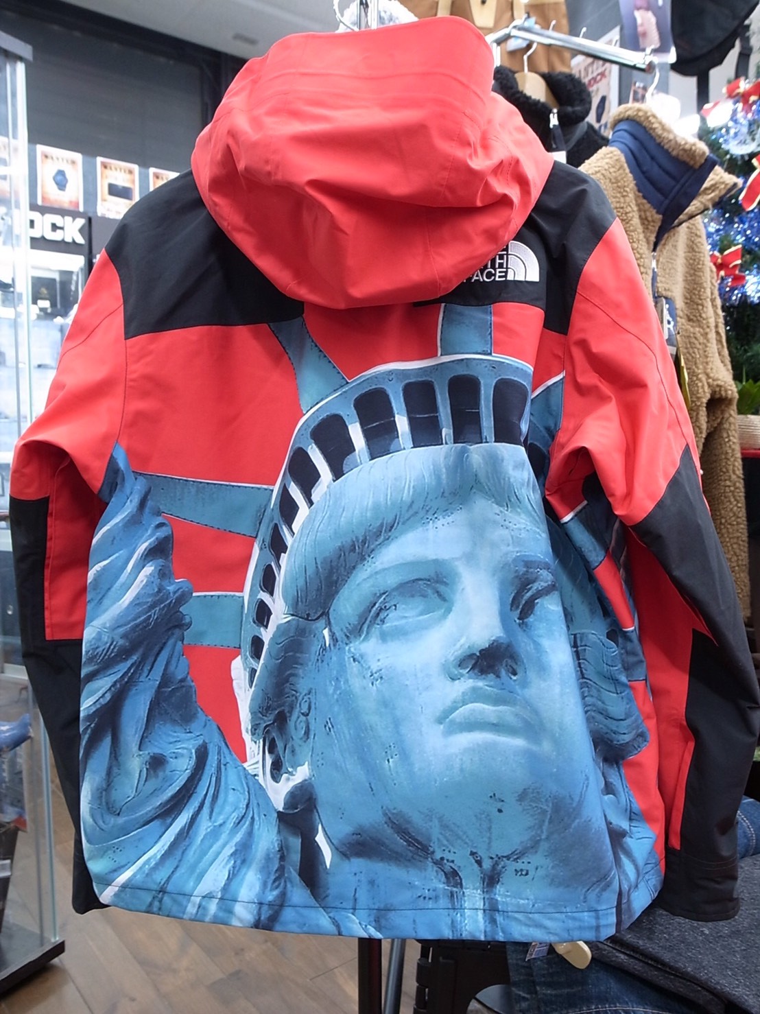 Statue of Liberty Mountain Jacket