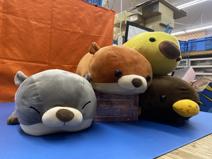 アミューズ】新景品入荷♪( *´艸｀)《もちぷにカワウソ＆カモノハシ兄弟 ぬいぐるみ｜ドラゴンクエスト スライム＆スライムベス｜ロングバウムクーヘン》  - 万代書店 諏訪店