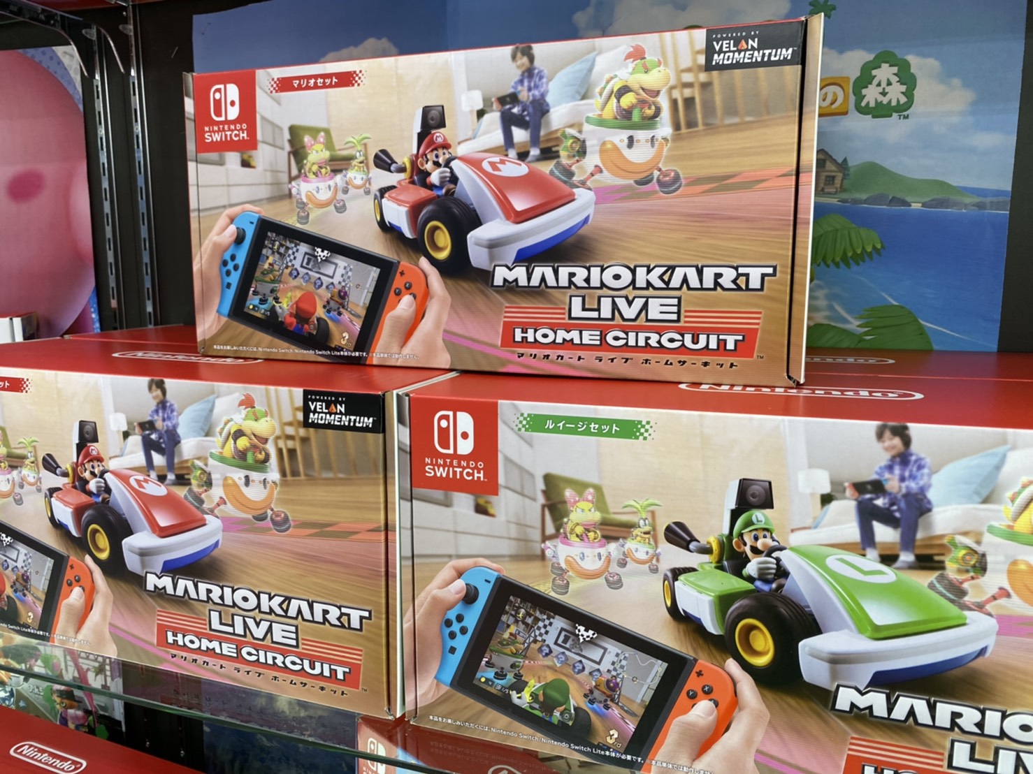 家庭用ゲームソフトマリオカートライブホームサーキット　マリオ、ルイージセット